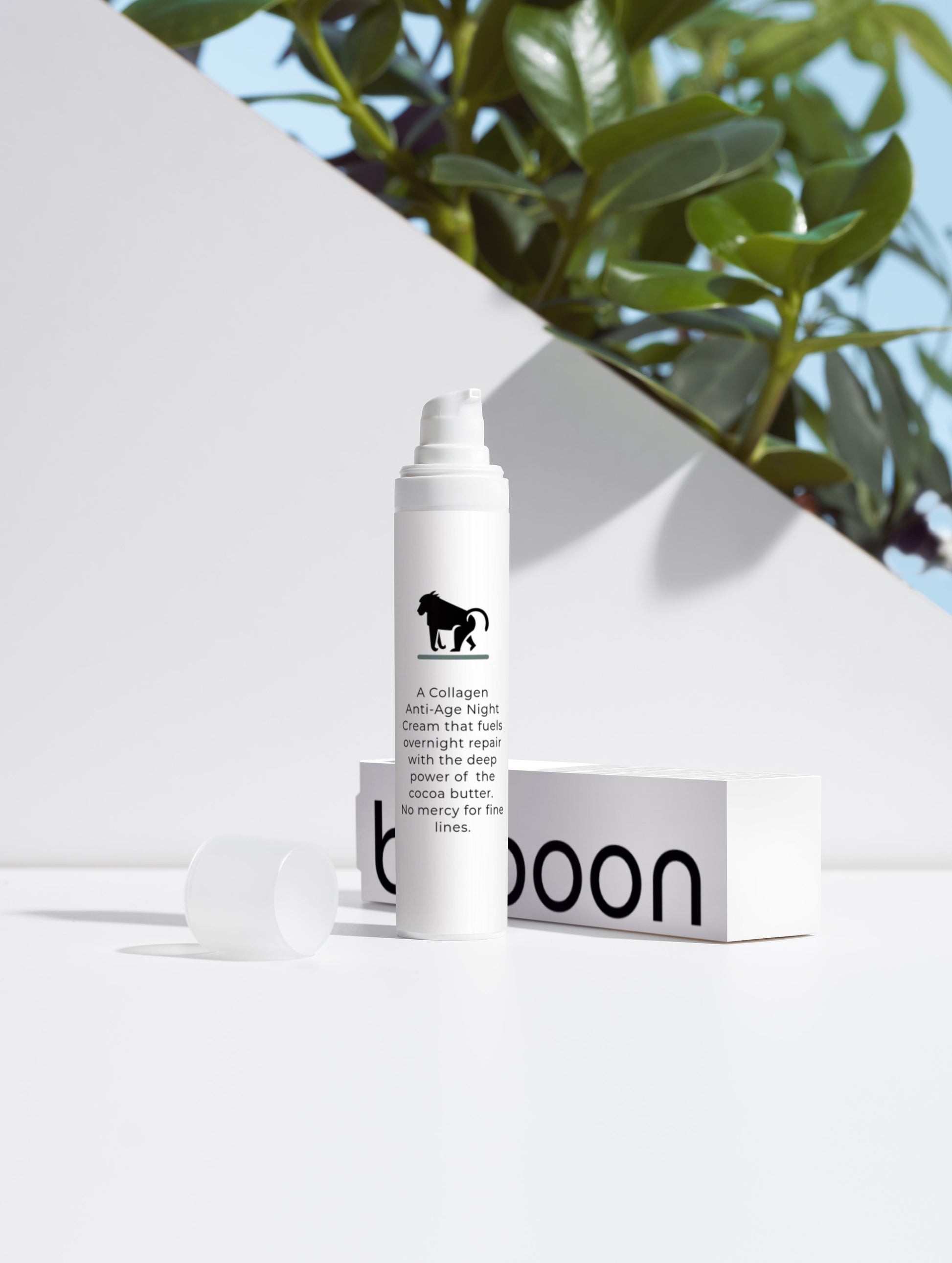 Anti-Age Night Cream with Collagen
